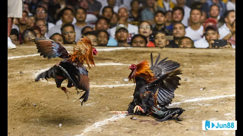 Người đàn ông đang bế một người phụ Người đang bế một người phụ