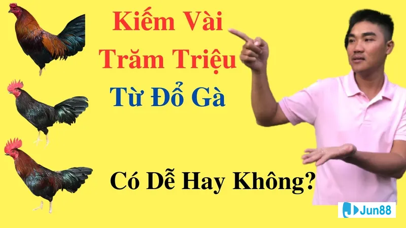 Đổ gà đá lai cuốn