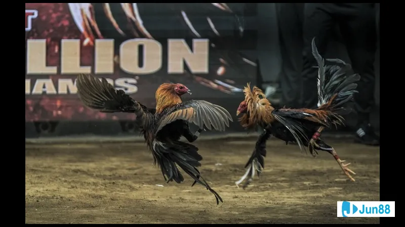 Những quy tắc và kinh nghiệm thực tiễn